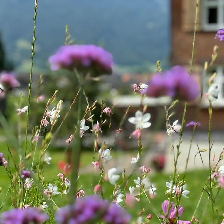 Bregenzerwaelderhaus Ambros Villa เบเซา ภายนอก รูปภาพ