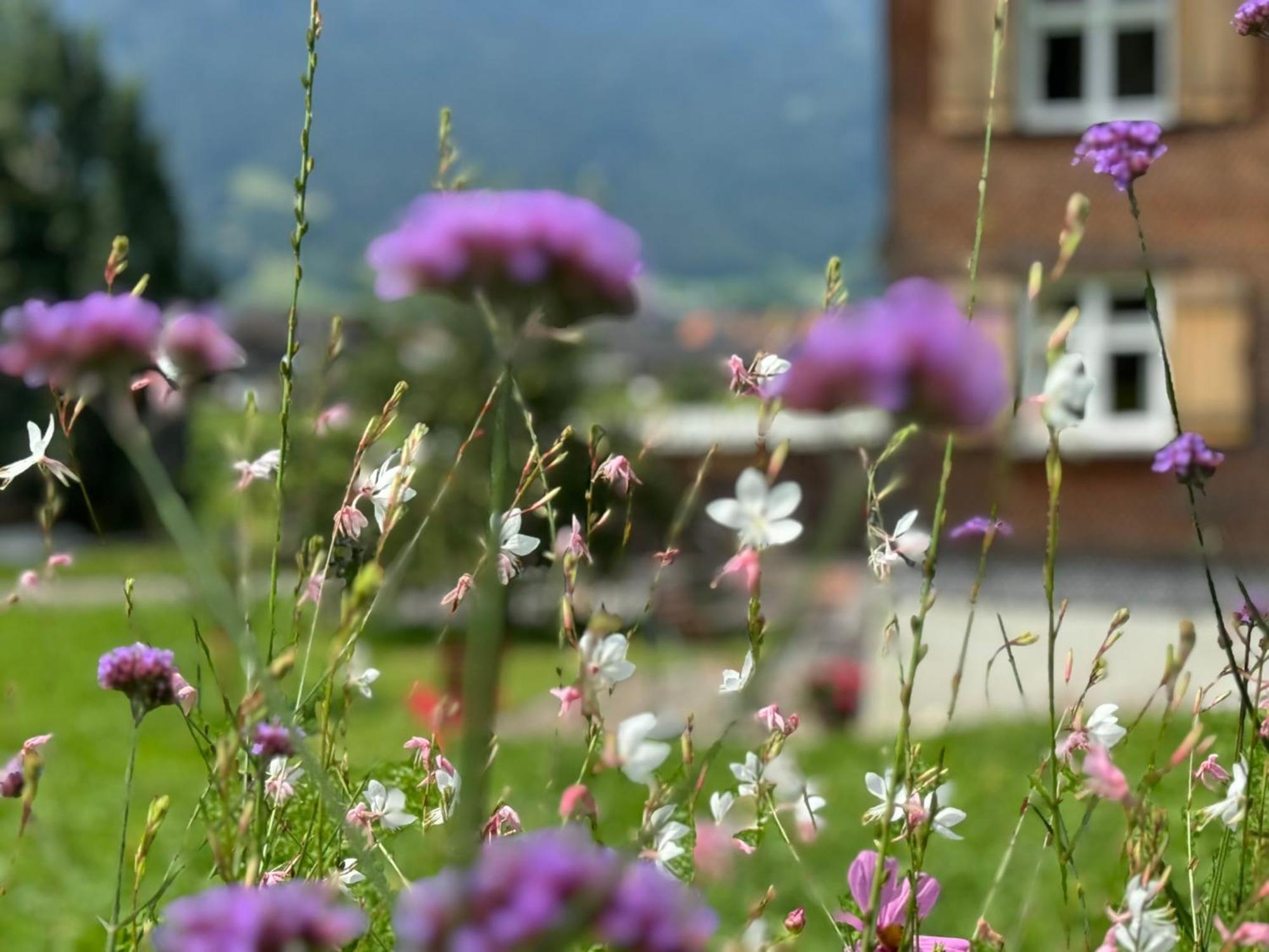 Bregenzerwaelderhaus Ambros Villa เบเซา ภายนอก รูปภาพ